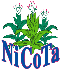 NiCoTa